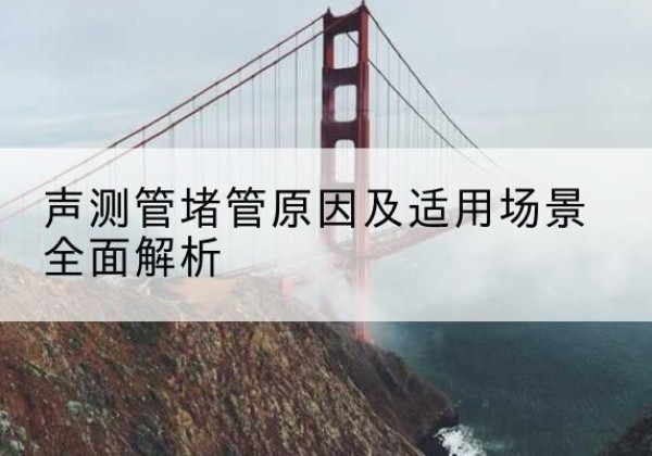 牡丹声测管堵管的主要原因有哪些？-声测管堵管原因及适用场景全面解析