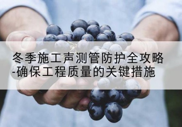 牡丹冬季施工声测管有哪些防护要点？-冬季施工声测管防护全攻略-确保工程质量的关键措施